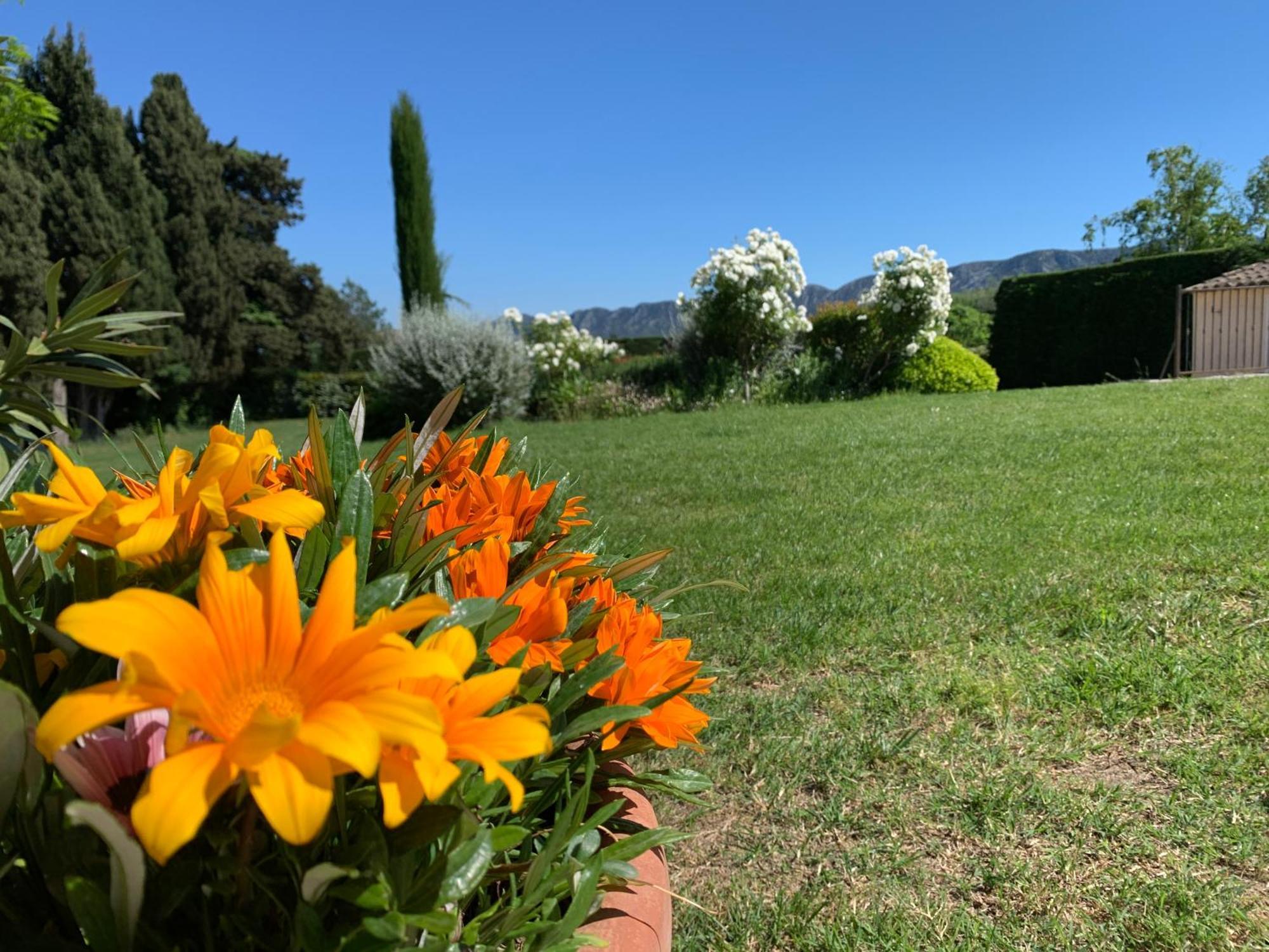 Saint-Rémy-de-Provence En Provence, Chez Stephanie Et Marcel מראה חיצוני תמונה