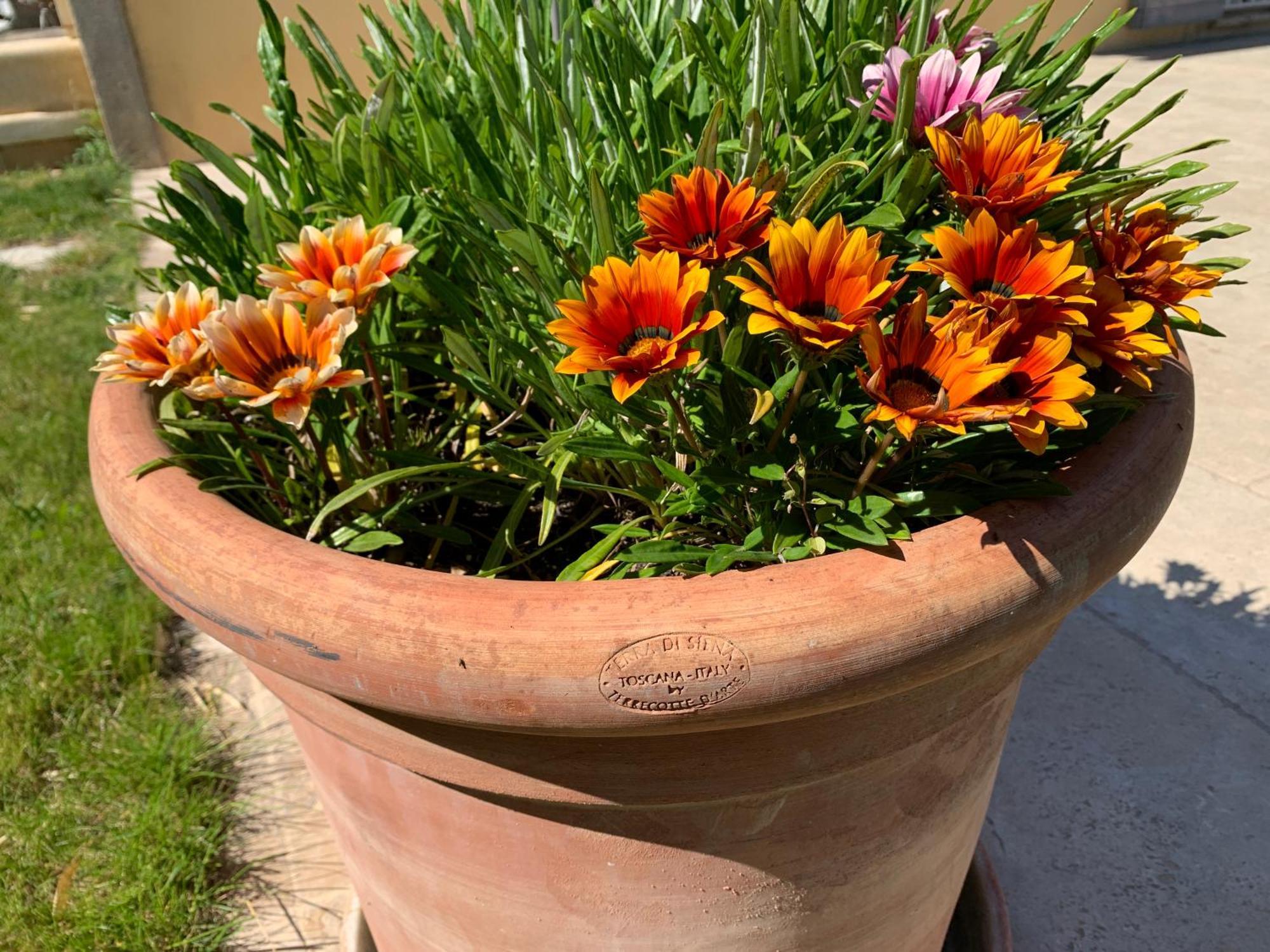 Saint-Rémy-de-Provence En Provence, Chez Stephanie Et Marcel מראה חיצוני תמונה