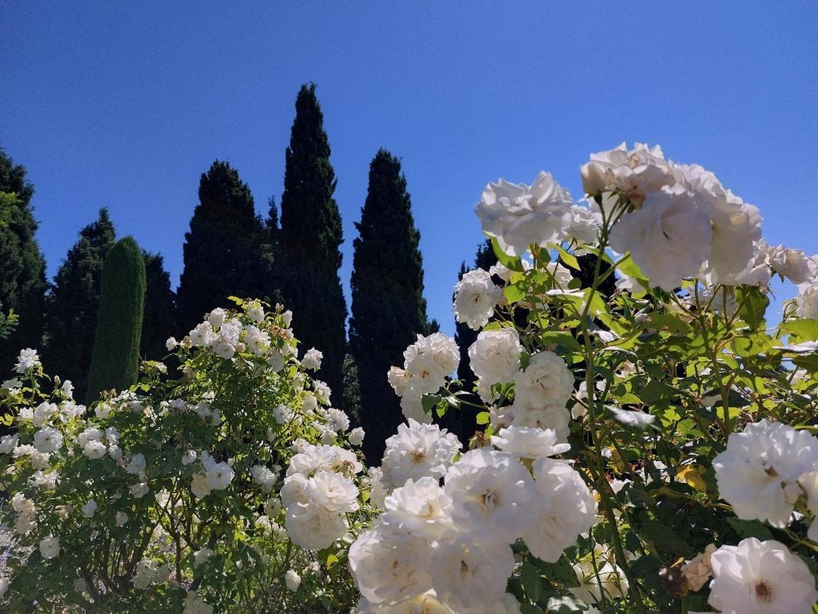 Saint-Rémy-de-Provence En Provence, Chez Stephanie Et Marcel מראה חיצוני תמונה