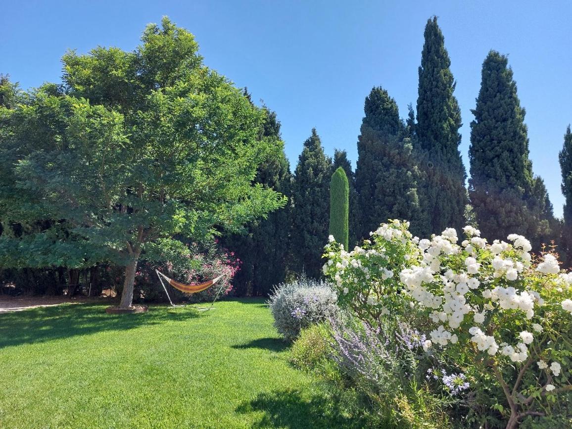 Saint-Rémy-de-Provence En Provence, Chez Stephanie Et Marcel מראה חיצוני תמונה